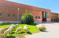 صورة من أمام كلية علم النفس التابعة لجامعة مدريد المستقلة.